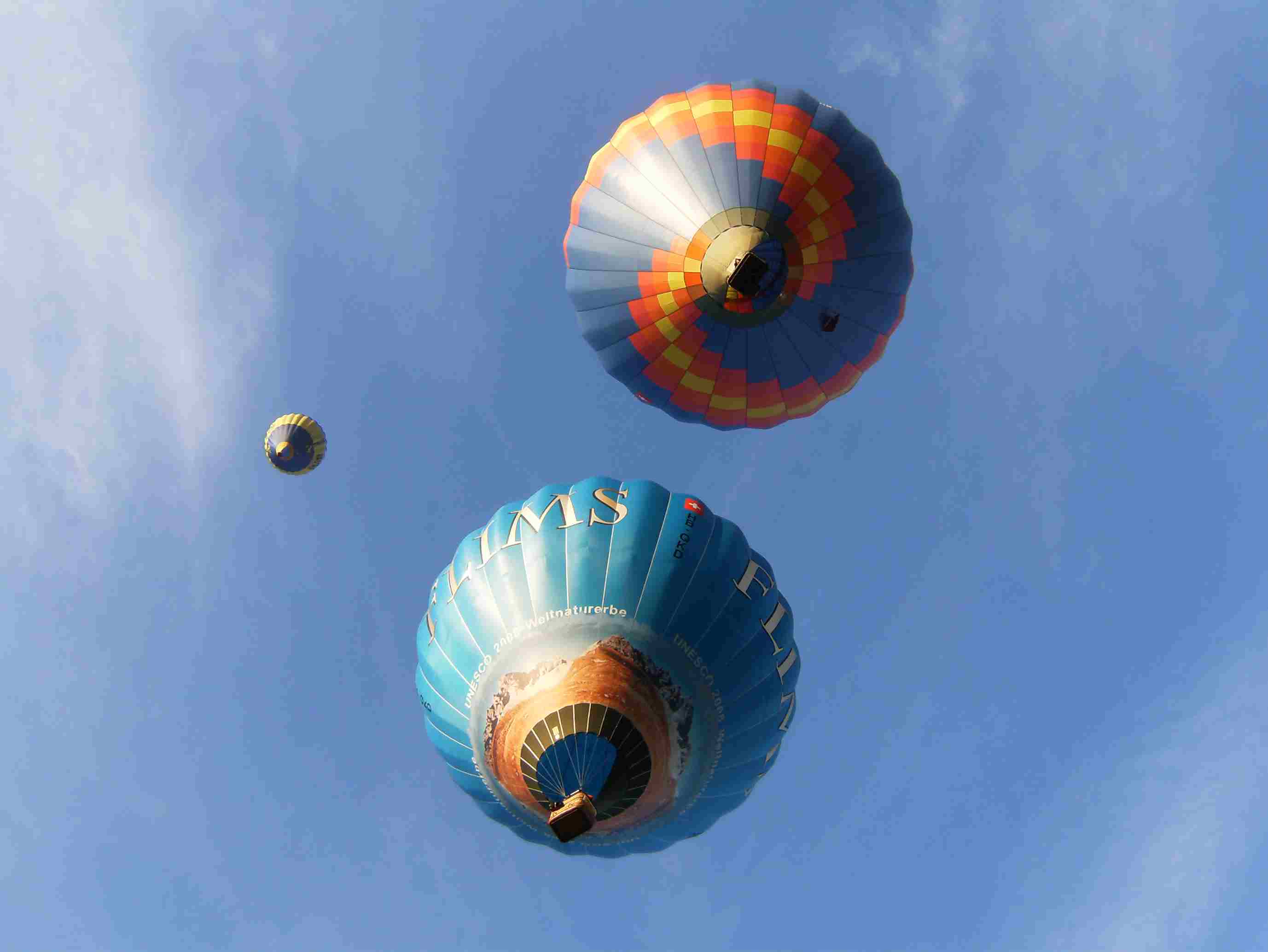 Slide Image